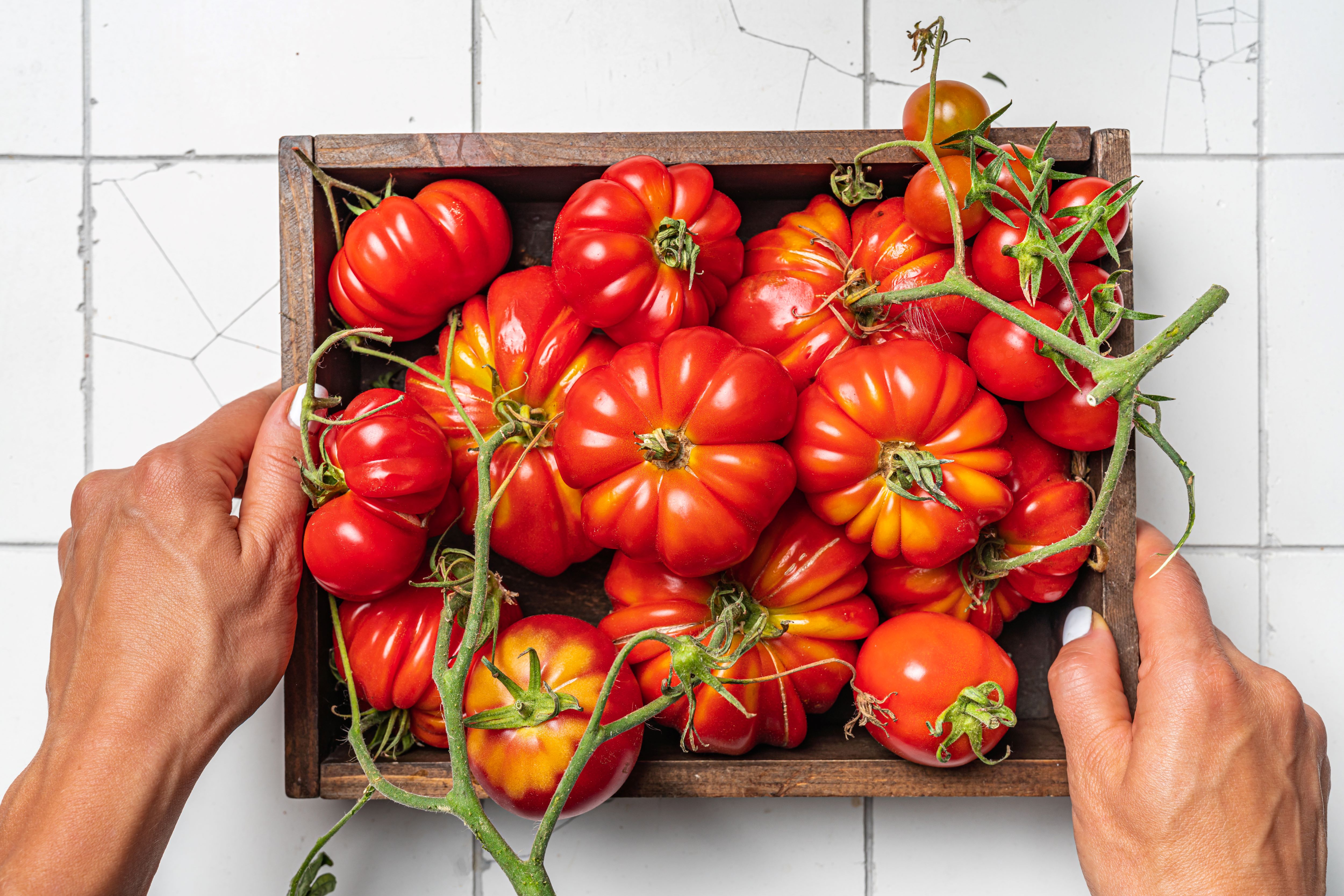 Sachet de graines de tomates marmande - sachet de 2 grammes - petite entreprise française - made in france