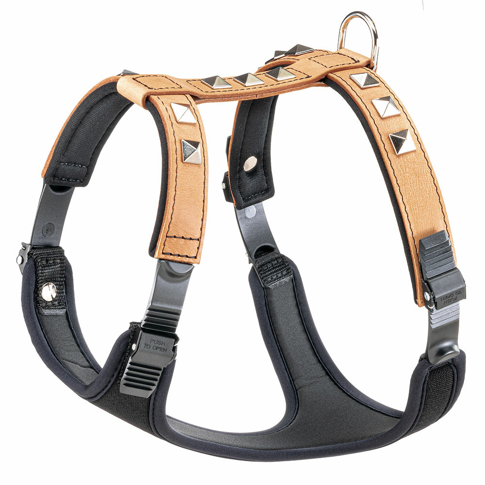 Harnais cuir véritable naturel chiens chien rembourré clous giotto luxor beige p