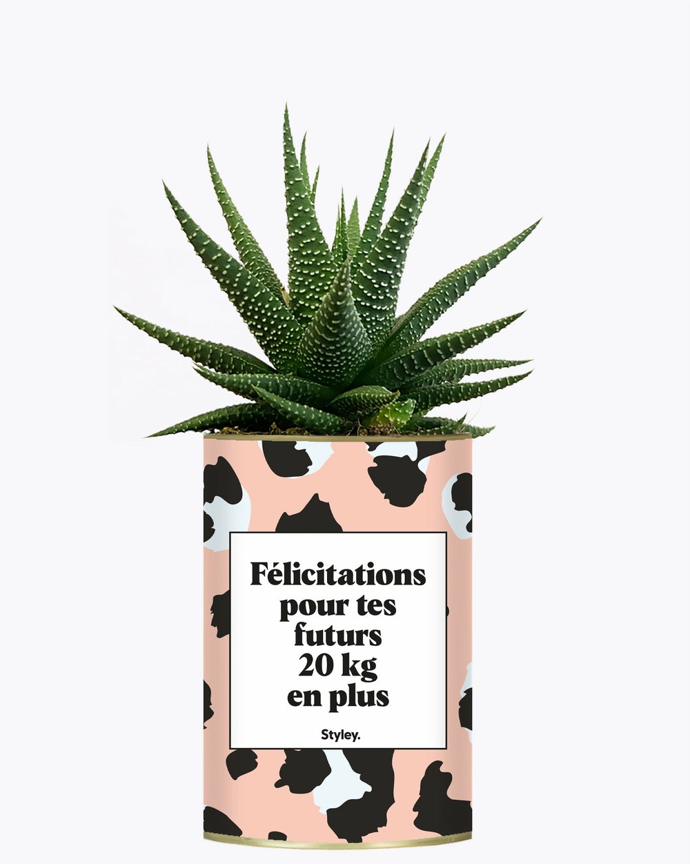 Idée cadeau - félicitations pour tes futurs 20kg en plus - plante