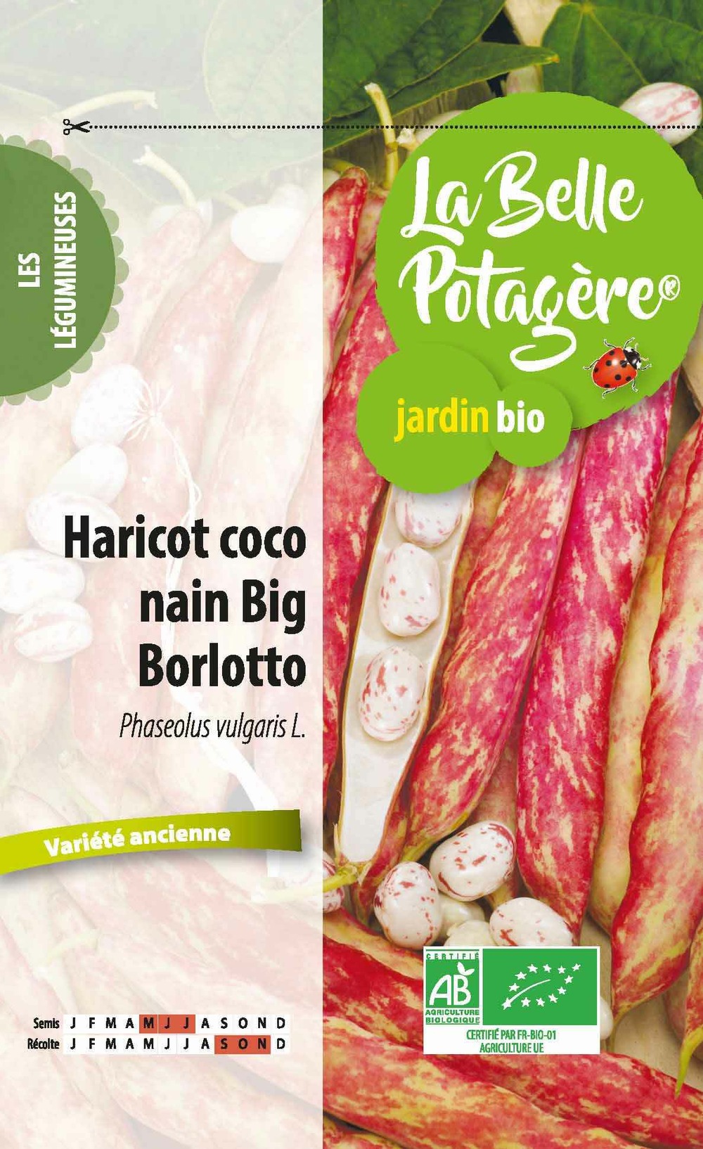 Haricot nain big borlotto 50 g