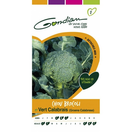Chou brocoli vert calabrais