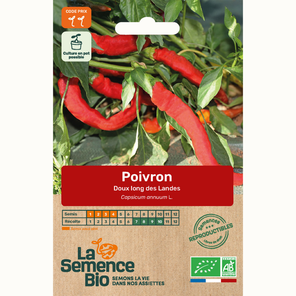 Poivron doux long des landes - graines bio