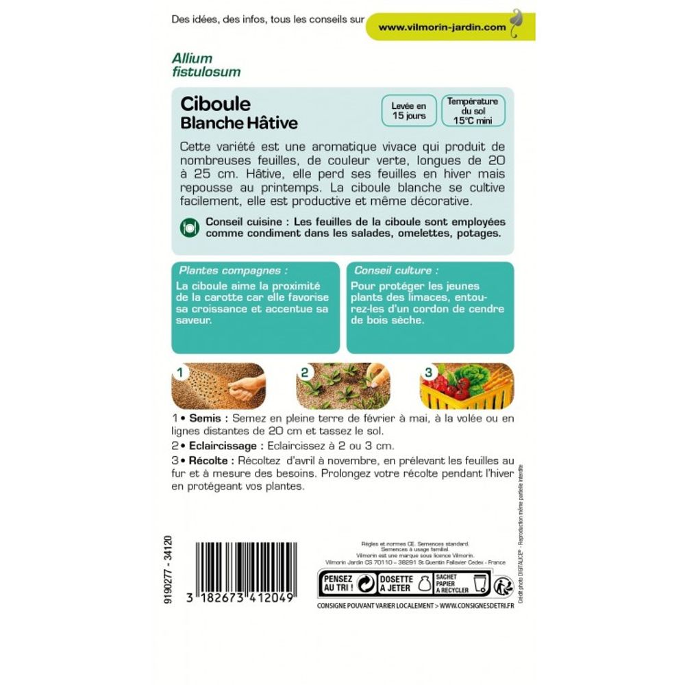 Graines Ciboulette Blanche Hative VILMORIN - Plante Aromatique Vivace - Saveur D'Oignon - Facile à Cultiver - 5
