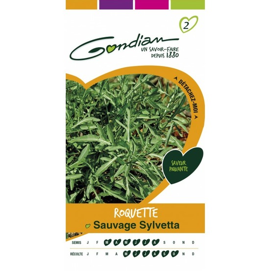Roquette sauvage sylvetta