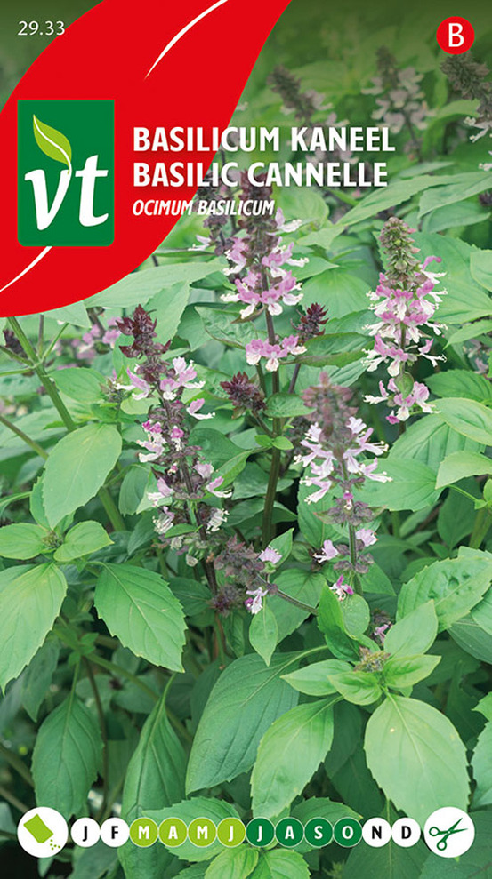 Basilic cannelle - ca. 0,5 gr (livraison gratuite)