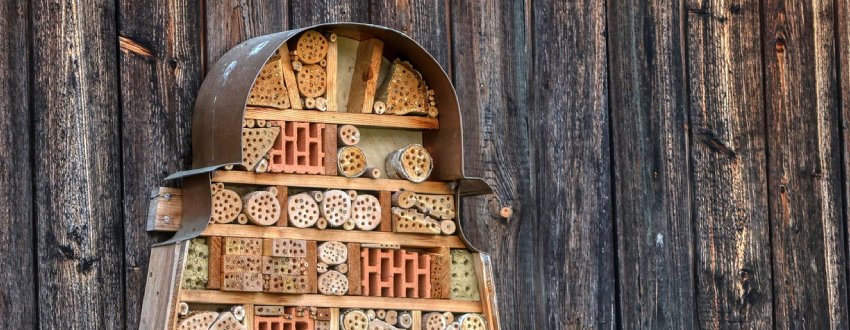 hotel et abri a insectes