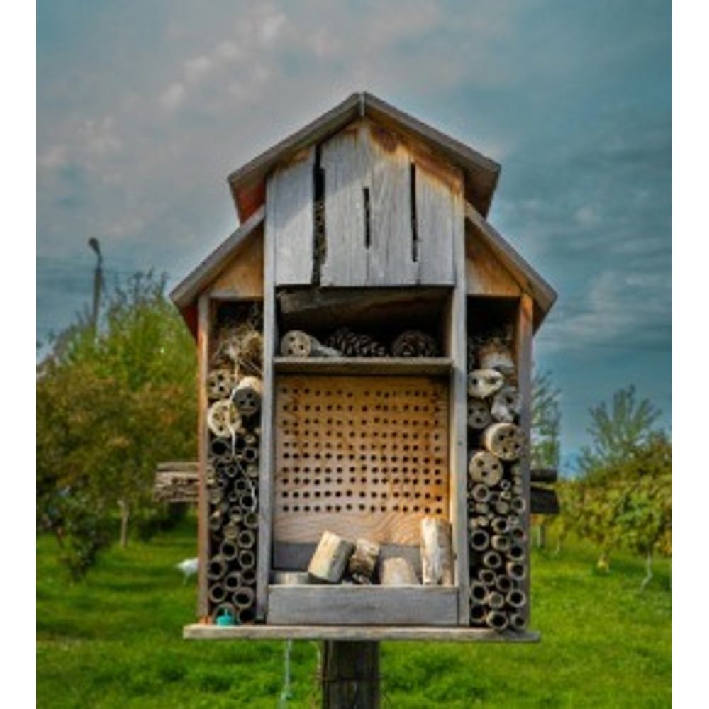 hotel et abri pour insectes 