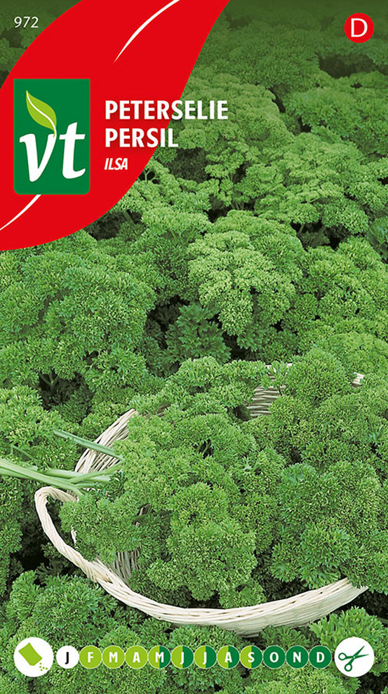 Persil ilsa - ca. 3 gr (livraison gratuite)