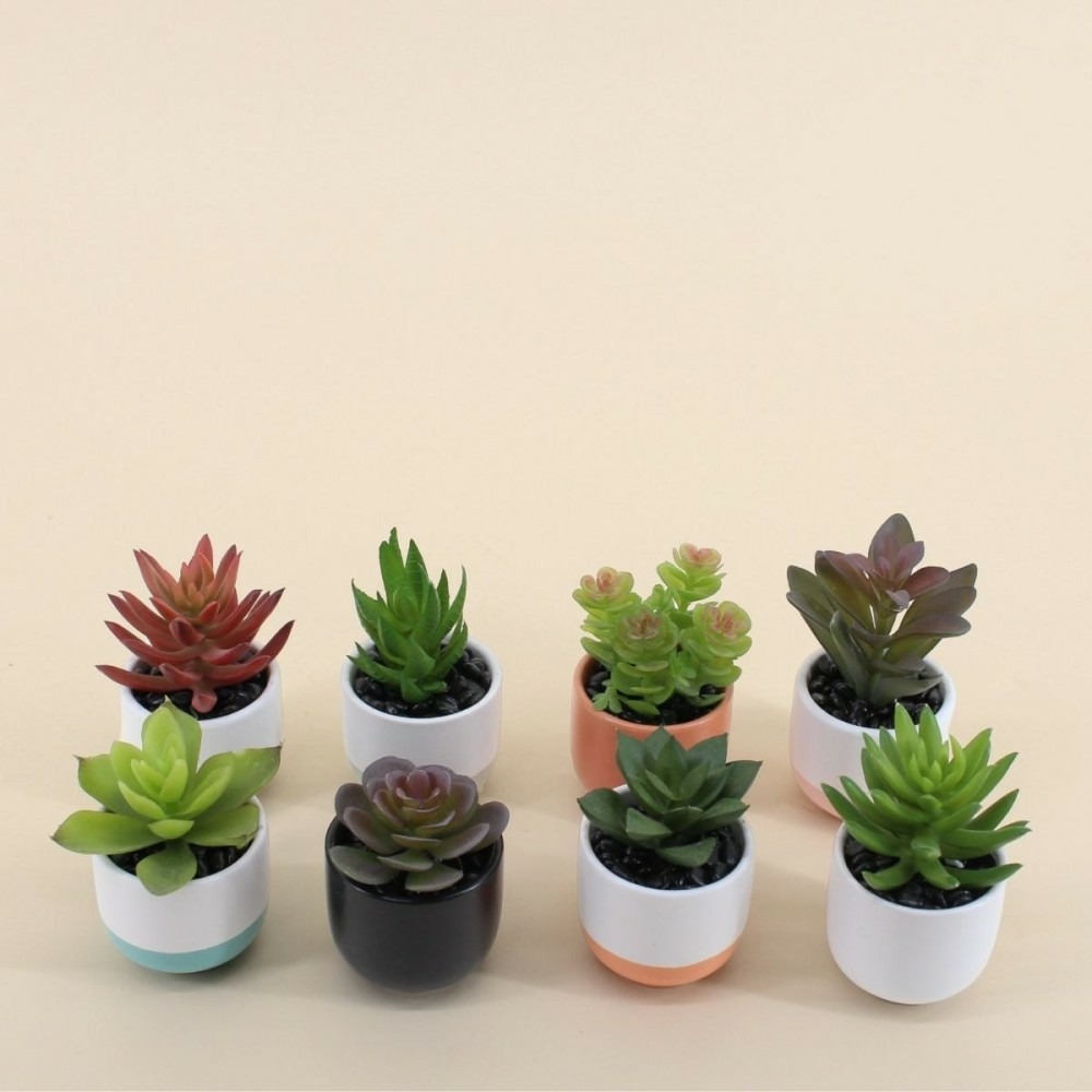 Lot de 8 plantes grasses artificielles en pot céramique