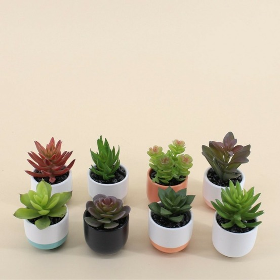 Lot de 8 plantes grasses artificielles en pot céramique