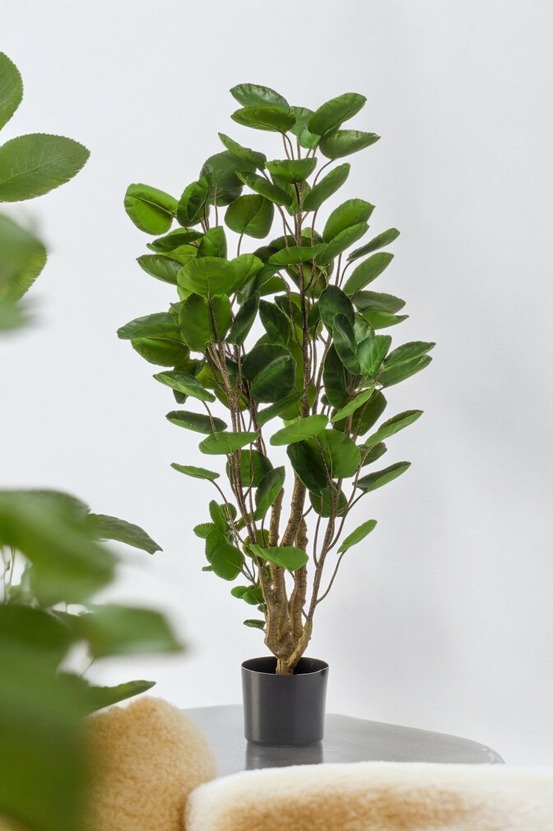 Polyscias aralia plante artificielle - h105cm, ø12cm