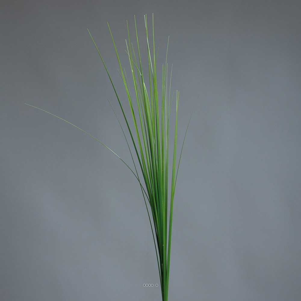 Isolepsis artificiel H 70 cm en tige vert