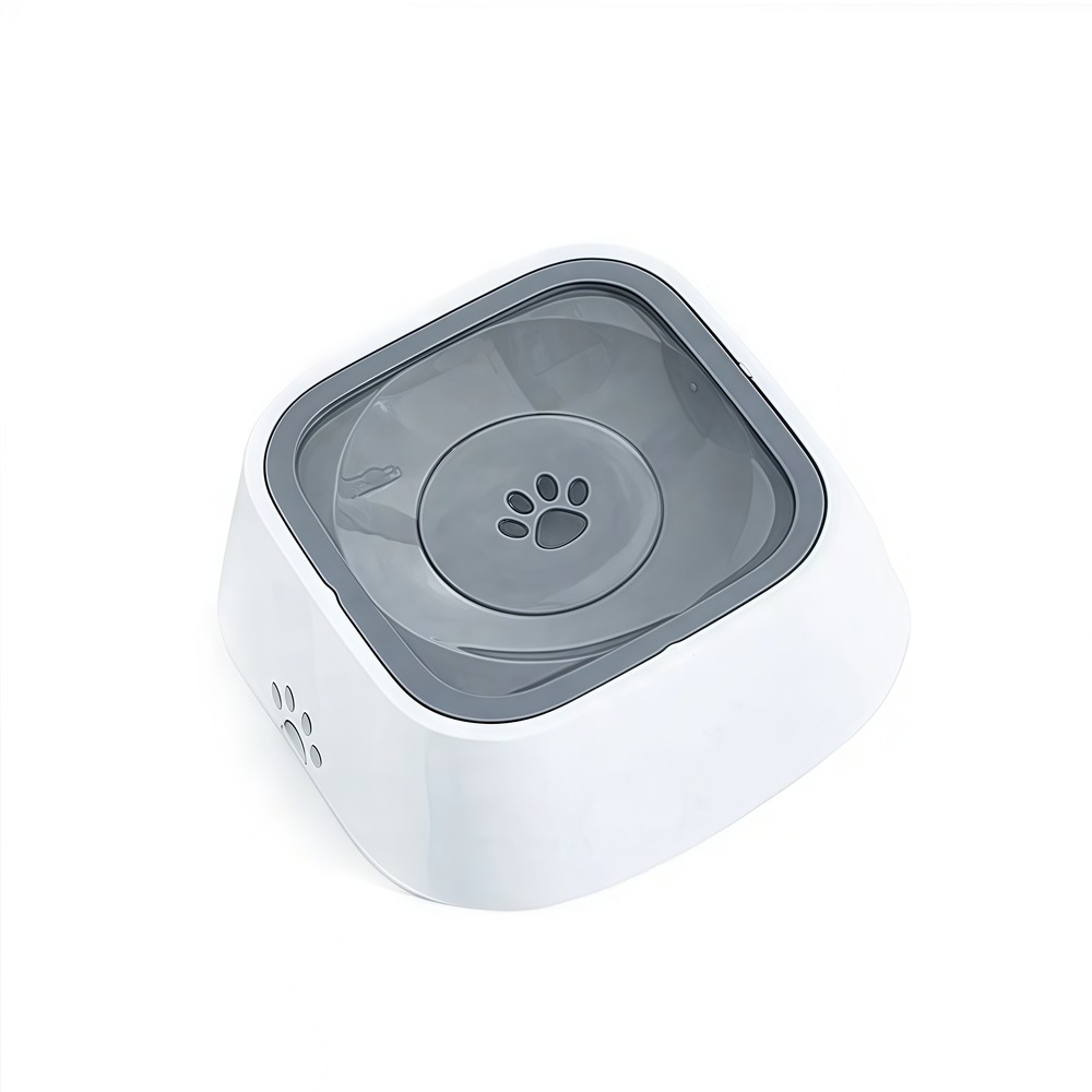 Fontaine à eau flottante anti-éclaboussures pour chien de compagnie