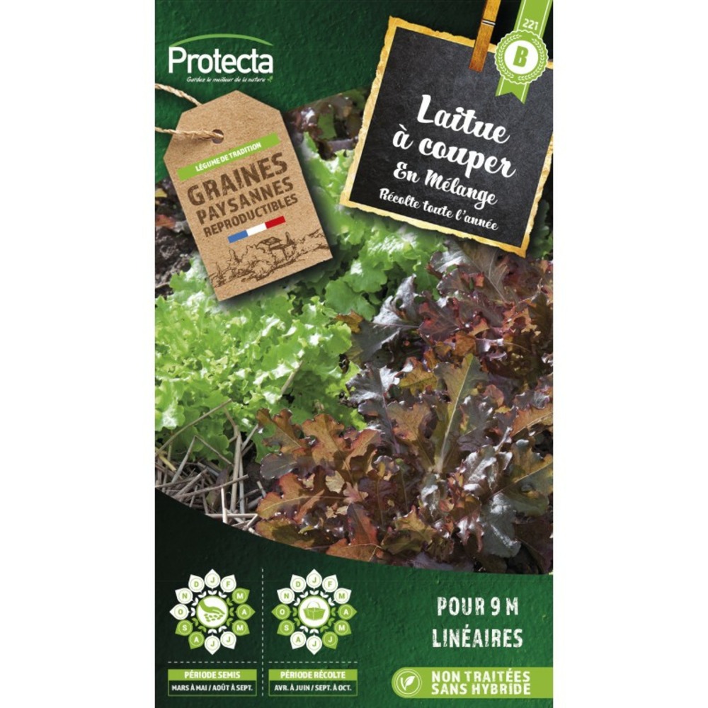 Graines paysannes - laitue à couper en mélange