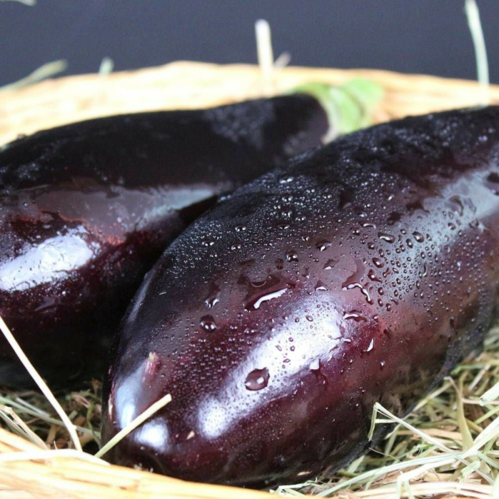 Graines d'aubergine de barbentane - vilmorin sachet