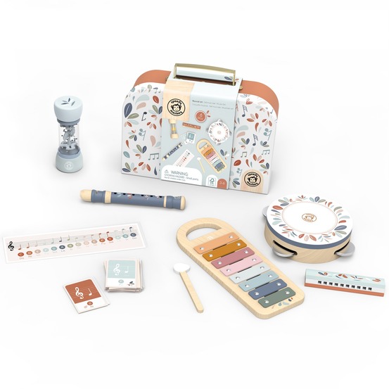 Set musical 5 instruments