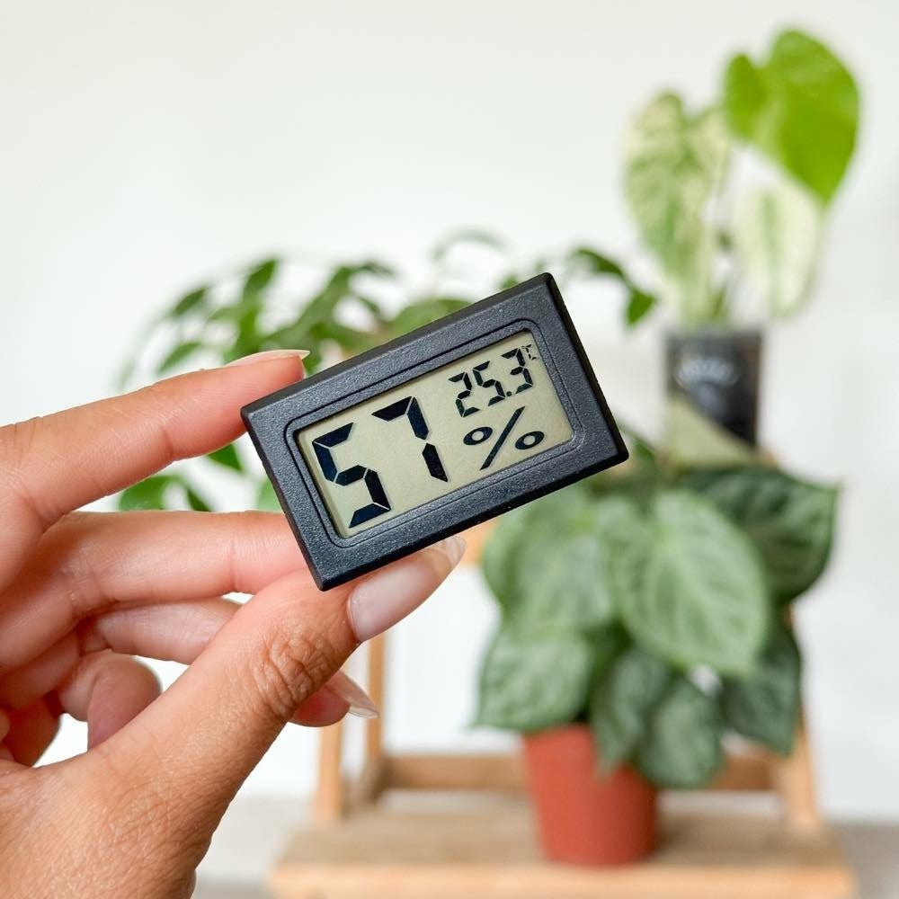 Thermomètre hygromètre numérique - x10 unités