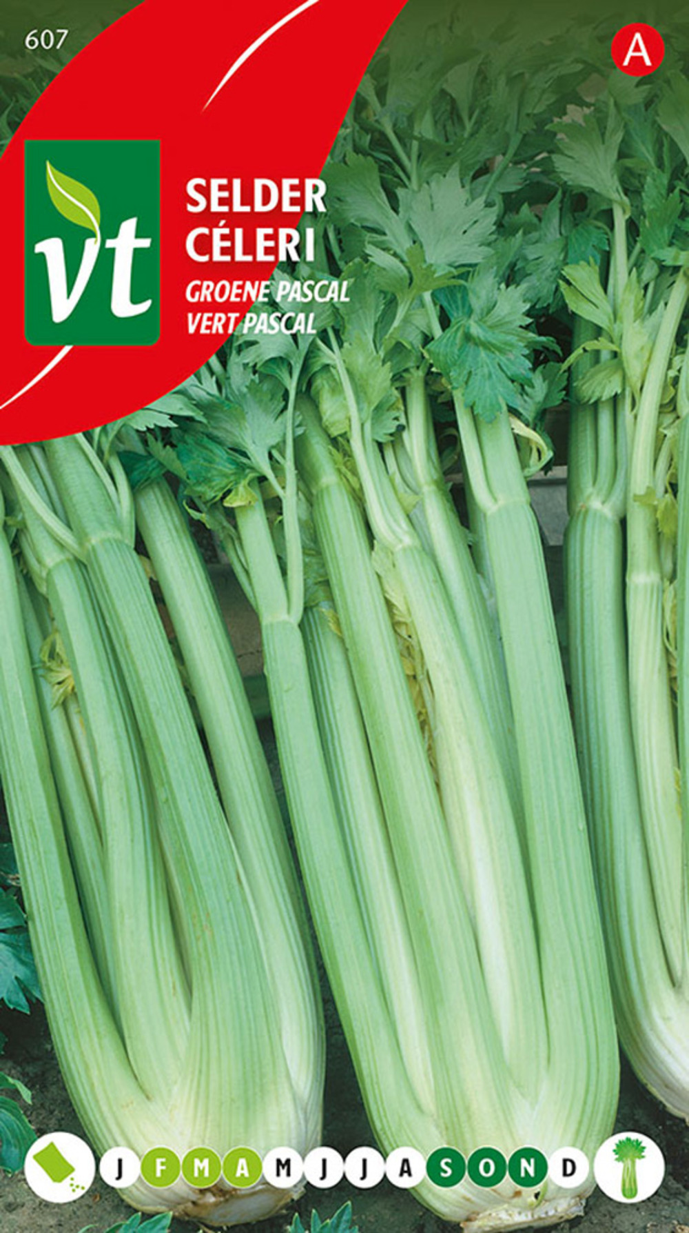 Celeri vert pascal - ca. 2 gr (livraison gratuite)