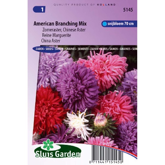 Reine-marguerite 'american branching mix' le sachet de 300 graines environ (0,8g)