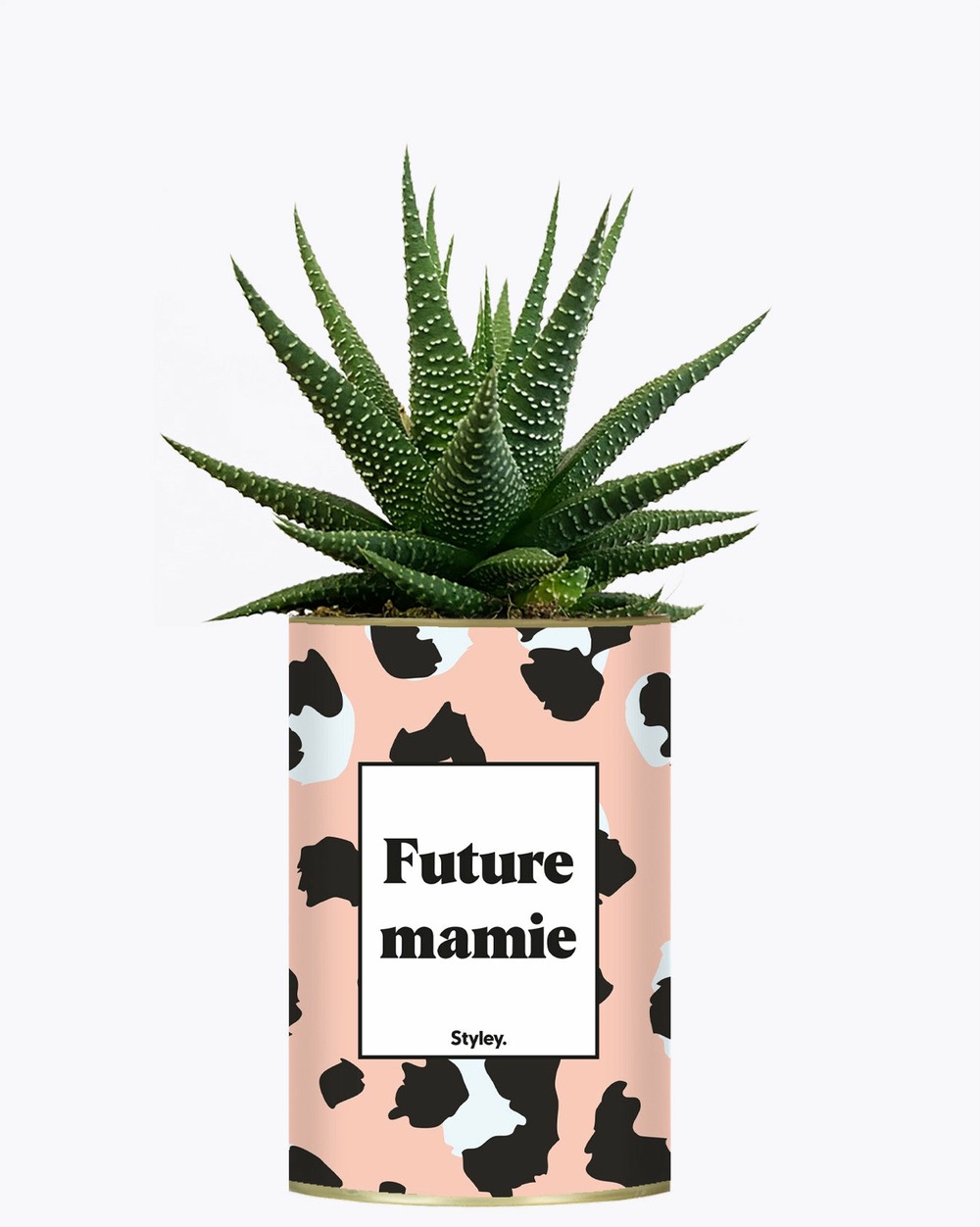 Idée cadeau - future mamie - plante