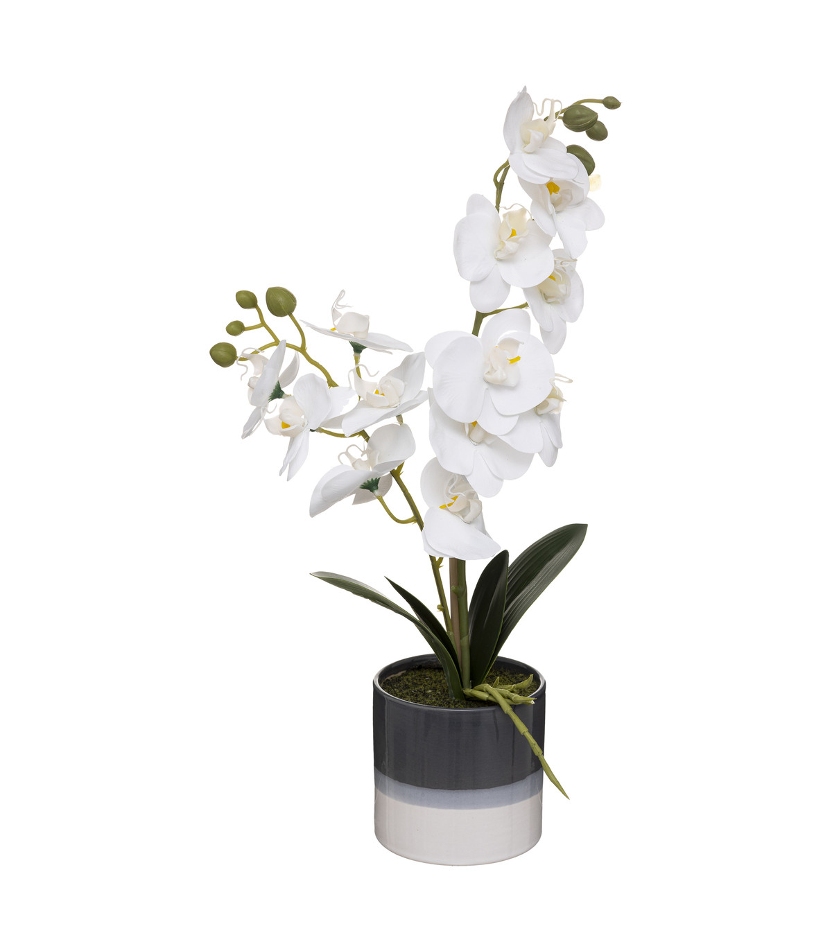 Plante artificielle orchidée dans un pot en céramique bicolore h 45 cm