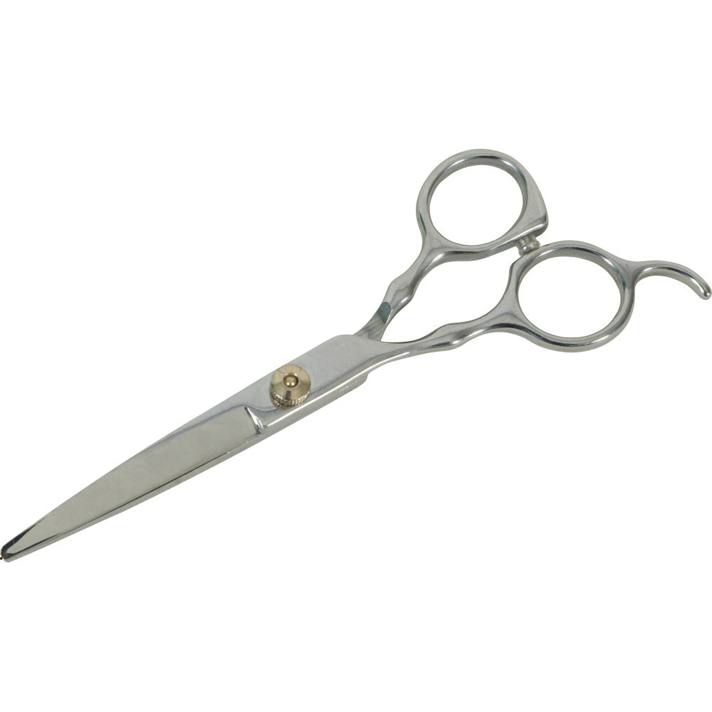 Ciseaux droit a bout rond 17 cm acier inoxydable pour chien