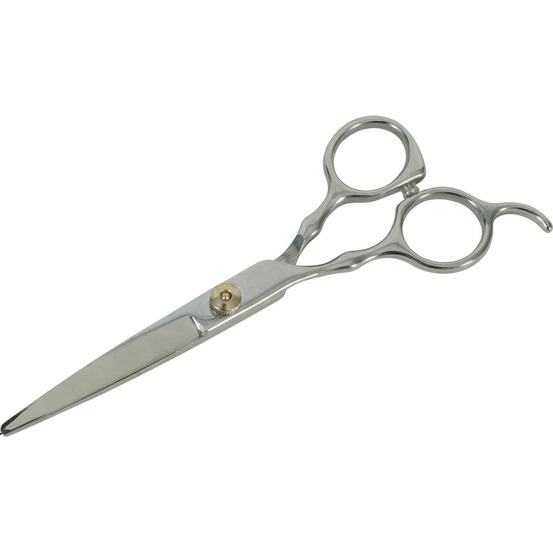 Ciseaux droit a bout rond 17 cm acier inoxydable pour chien