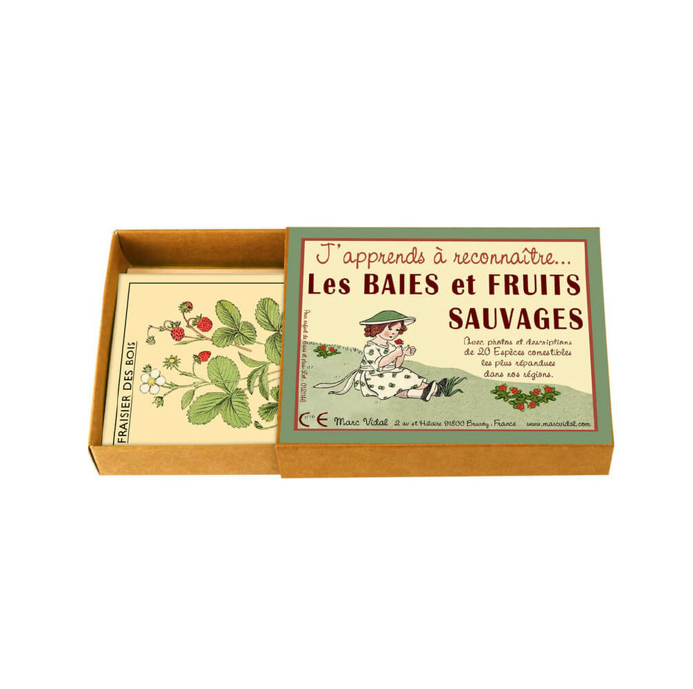 J'apprends à reconnaître les baies et fruits sauvages