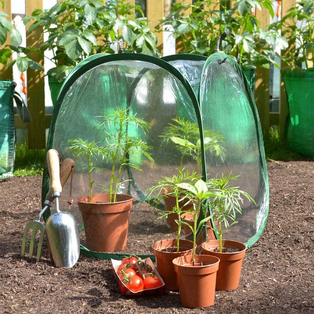 Mini serre jardin 50x50cm - pop up tunnel de forçage, hivernage - housse pour semis, fleurs, plantes, jardinière, potager - lot de 3