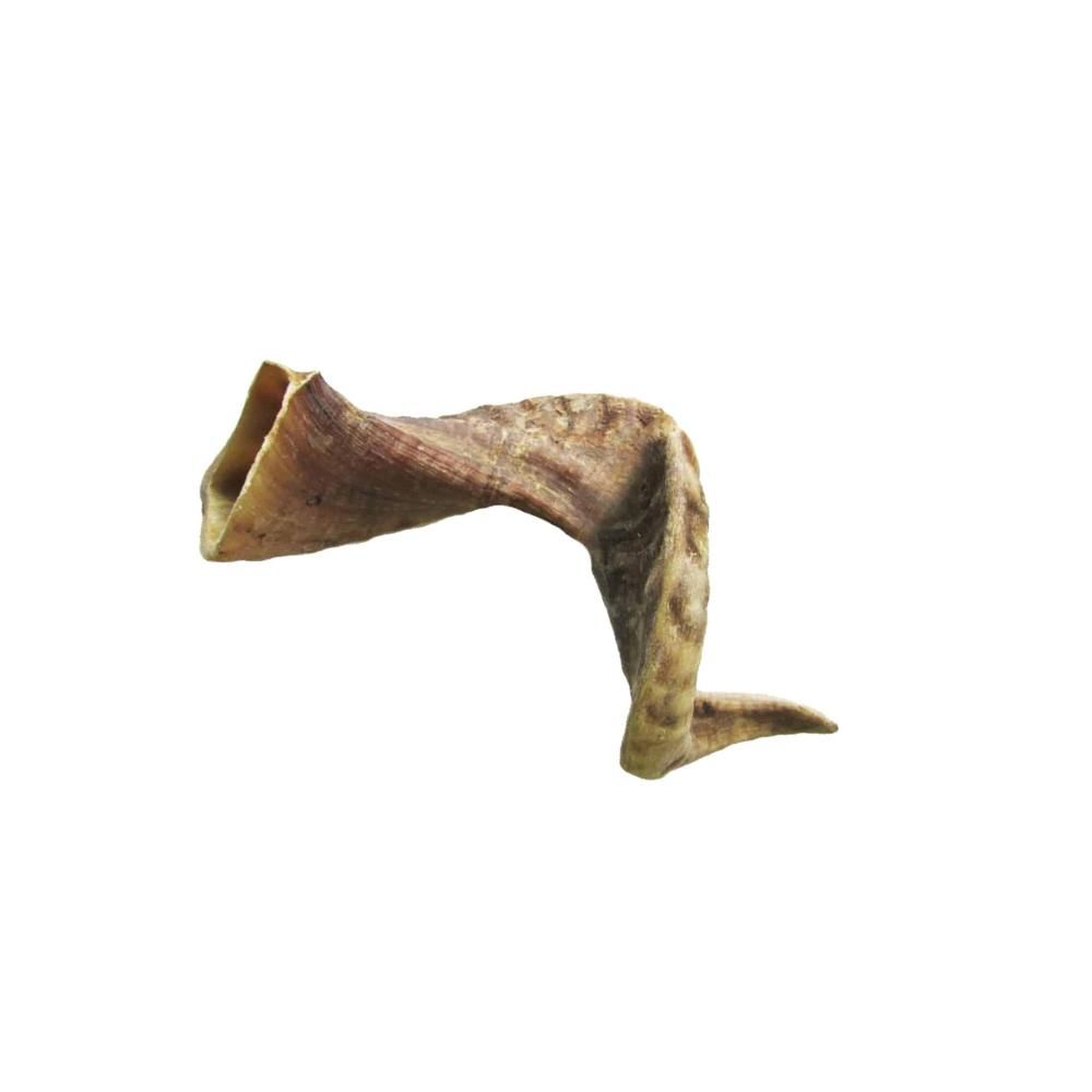 Corne de mouton - mastication longue pour chiens l