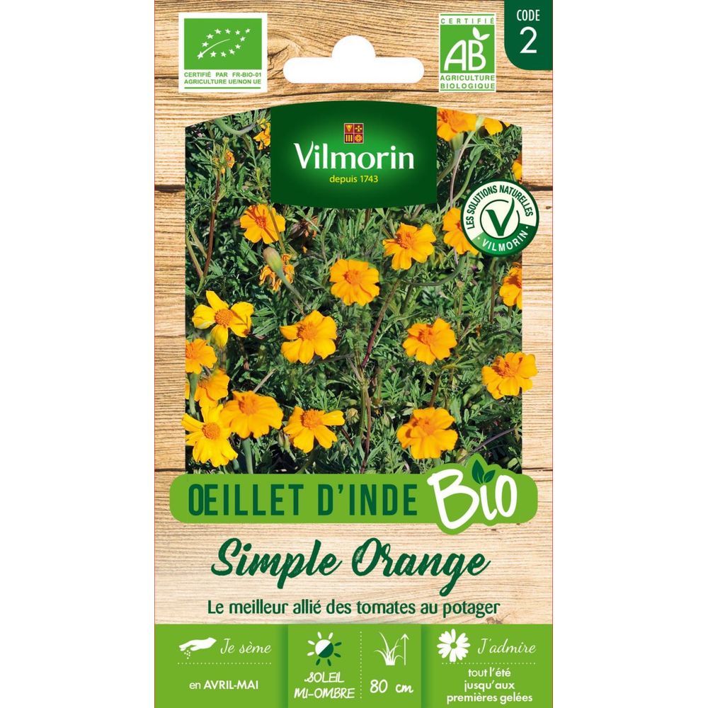 Œillet d'inde simple orange - bio
