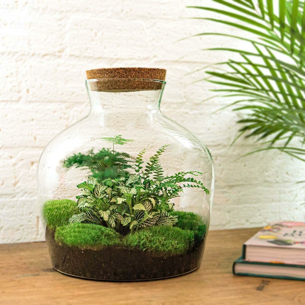 Lot de 3 - grand terrarium en kit hanoi - h30 cm - ø30 cm