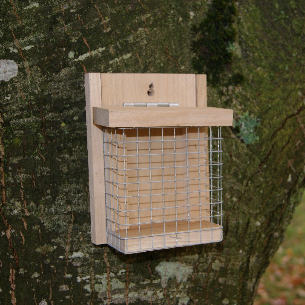 Mangeoire oiseau libre-service châtaignier