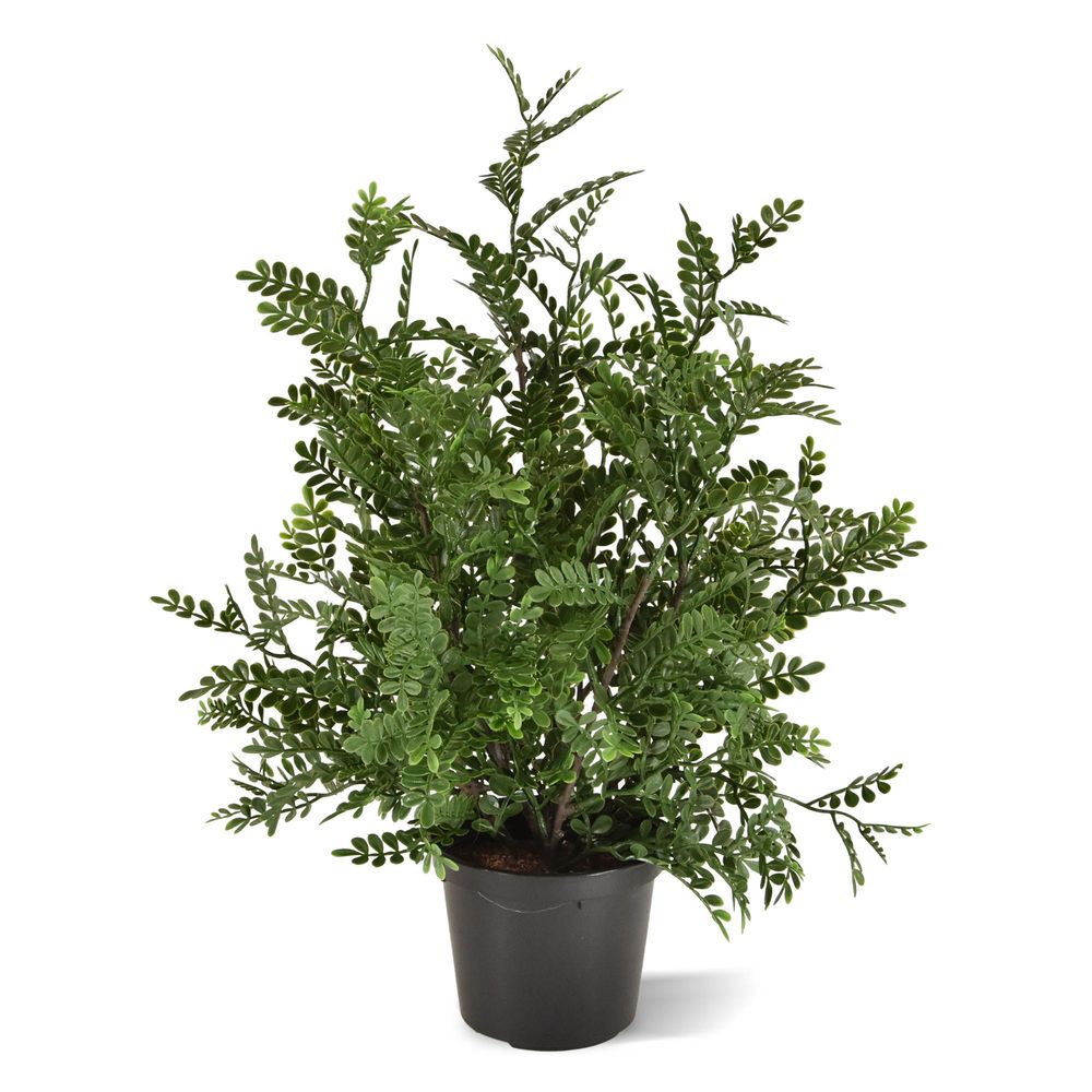 Robinier acacia plante artificielle 40cm | Truffaut