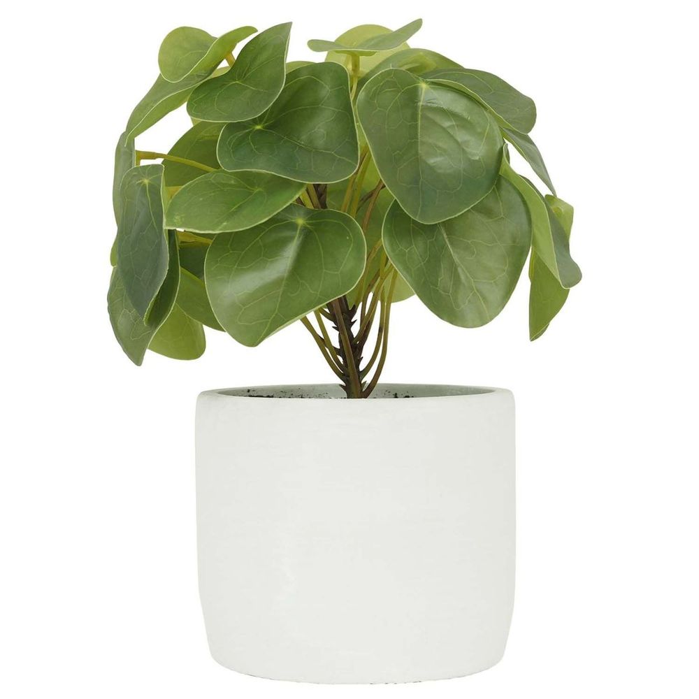 PILEA POT EFFET CIMENT 23CM-(815180)