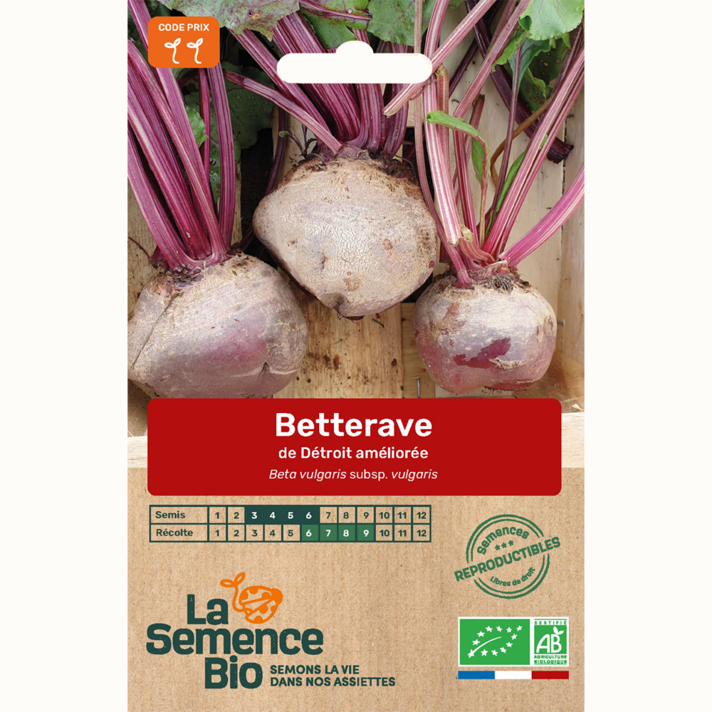 Betterave de détroit 2 - graines bio