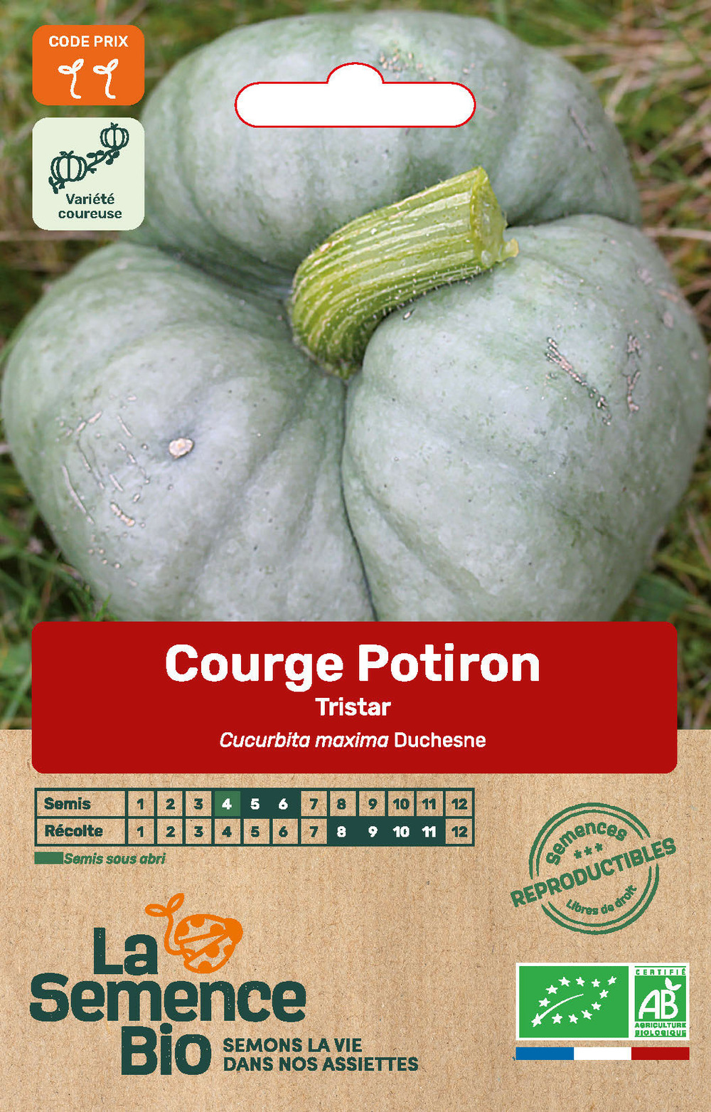 Courge potiron tristar - graines bio
