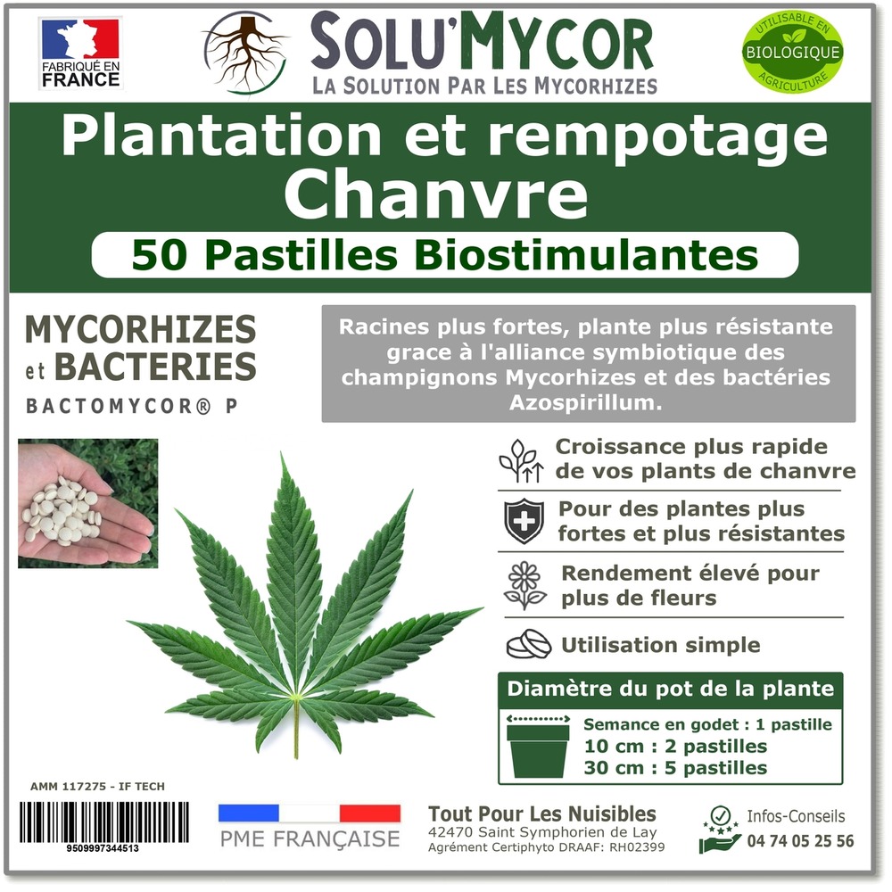 Solumycor 50 pastilles biostimulantes chanvre ideal pour semis et plantation mycorhizes et bacteries azospirillum