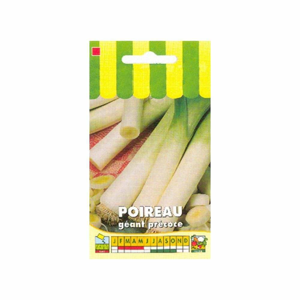 Graines de poireau géant précoce