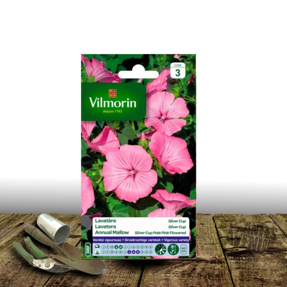 Graines de lavatère silver cup - vilmorin sachet