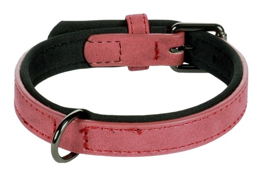 Collier pour chien avec doublure néoprène