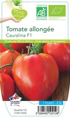 Tomate cauralina f1 -plant ab en  pot 0.5 l-plante du jardin