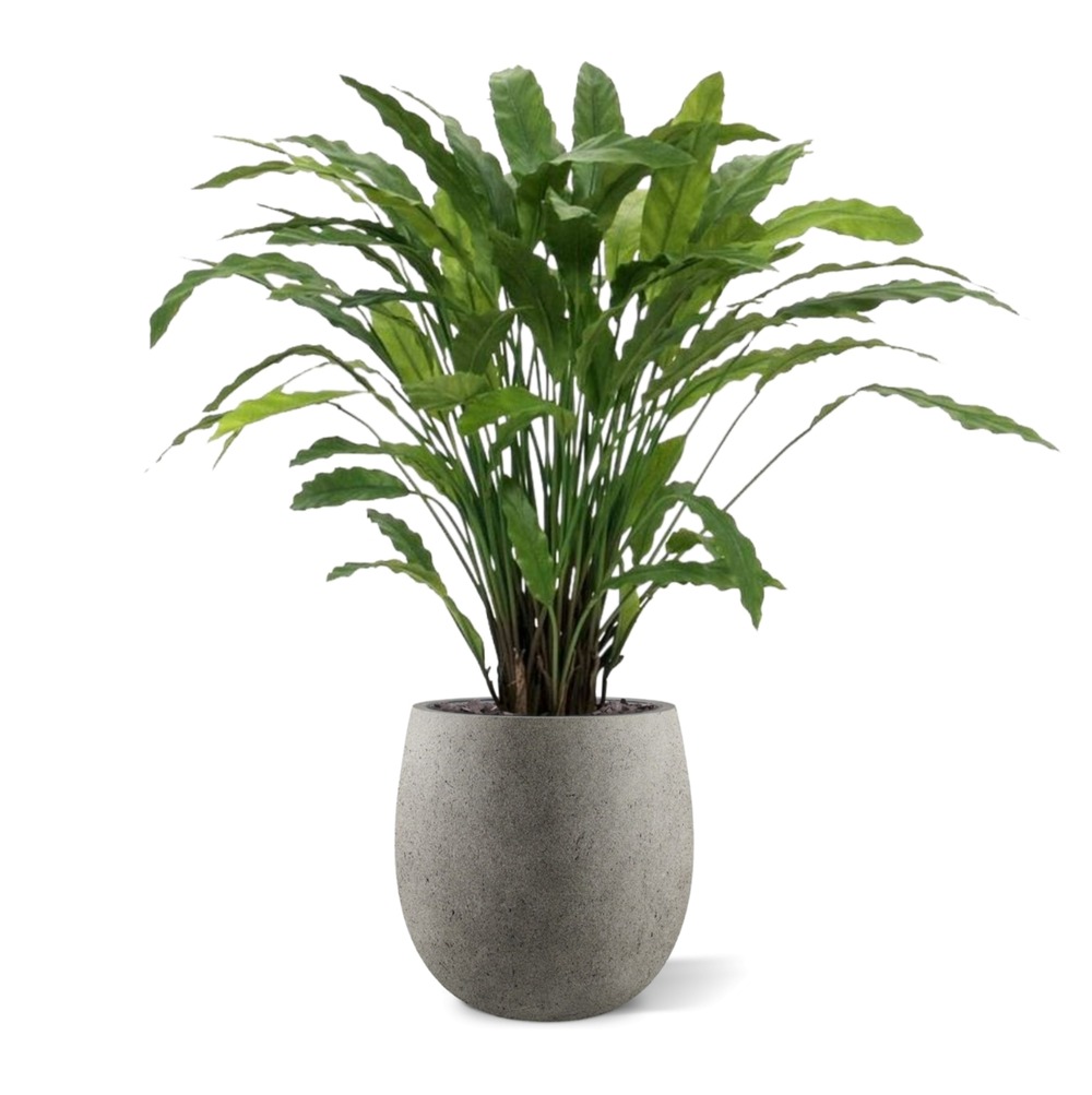 Calathea plante artificielle verte 85 cm