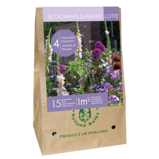 Mix bulbes fleurs été mauves