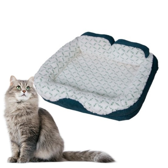 Panier spacieux pour chats et chiots vert 55x40x20cm pratique