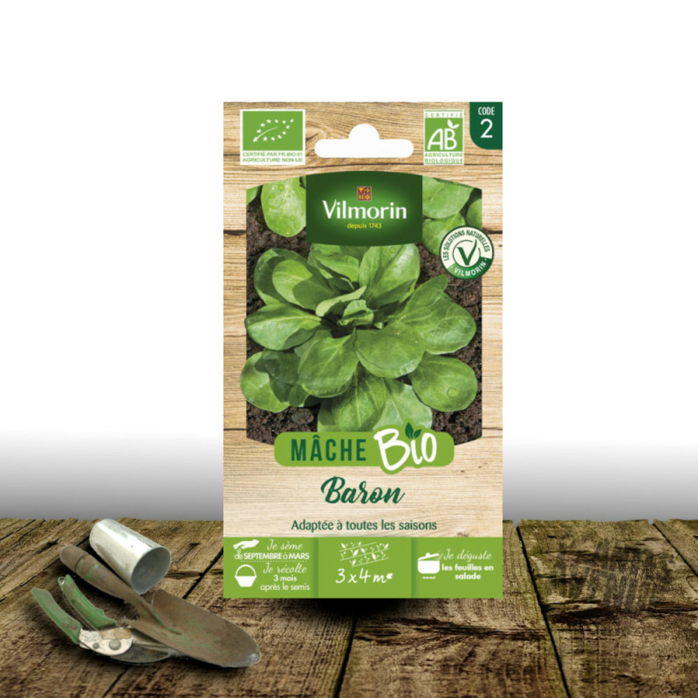 Graines de mâche baron - sans traitement - vilmorin sachet