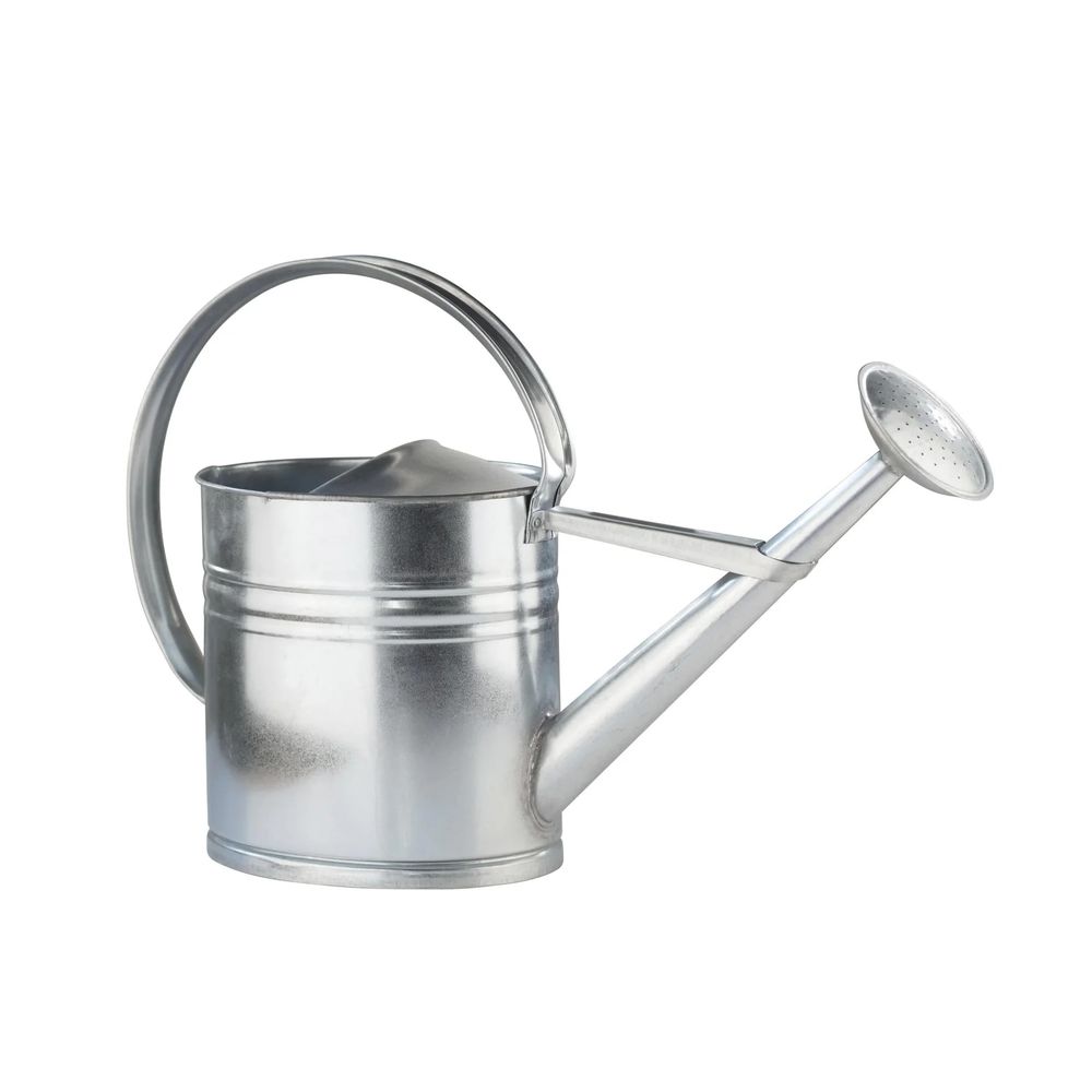 Arrosoir galvanisé 10 l