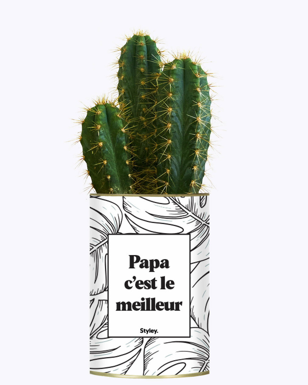 Idée cadeau - papa c'est le meilleur - cactus