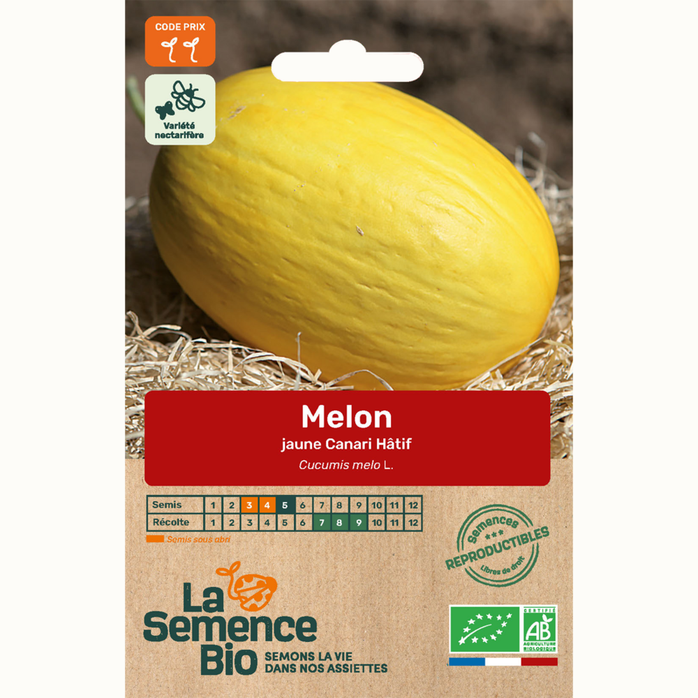 Melon jaune canari hâtif 3 - graines bio