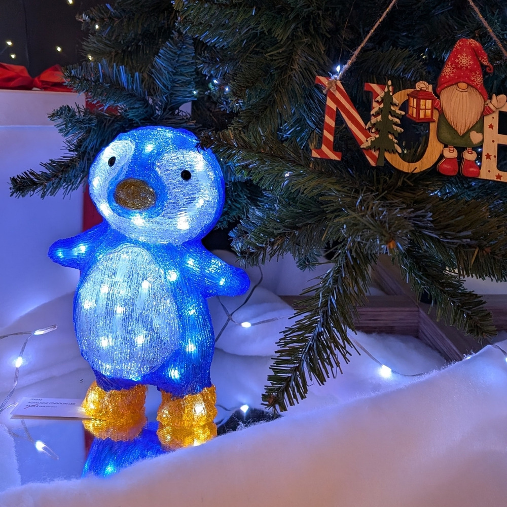 Acrylique pingouin led